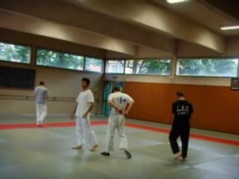 yoseikan budo lyon