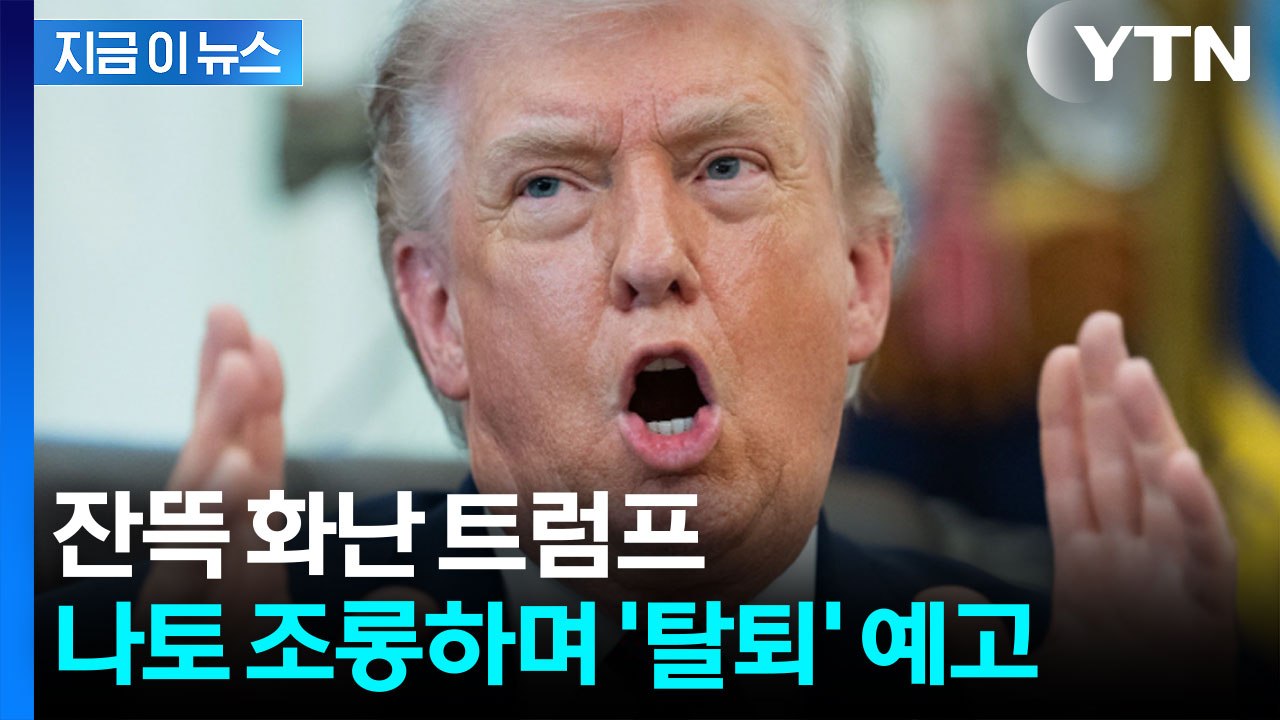 "푸틴도 알고 있다" 조롱..."트럼프, 나토 탈퇴 강력 검토" [지금이뉴스]  / YTN