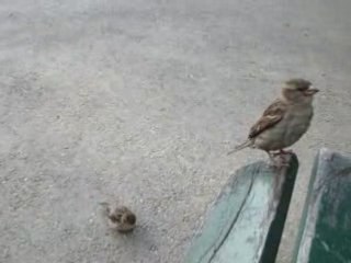 Petit dîner sur la rade