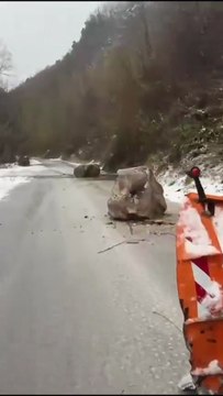 Image from field_mediaid