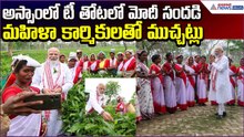 PM Modi Visits: అస్సాంలో టీ తోటలో మోదీ సందడి.. మహిళా కార్మికులతో ముచ్చట్లు! | Asianet News Telugu