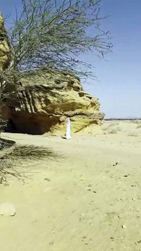 Hidden Gem of Saudi Arabia ✨ Hegra (Madain Saleh) Tour