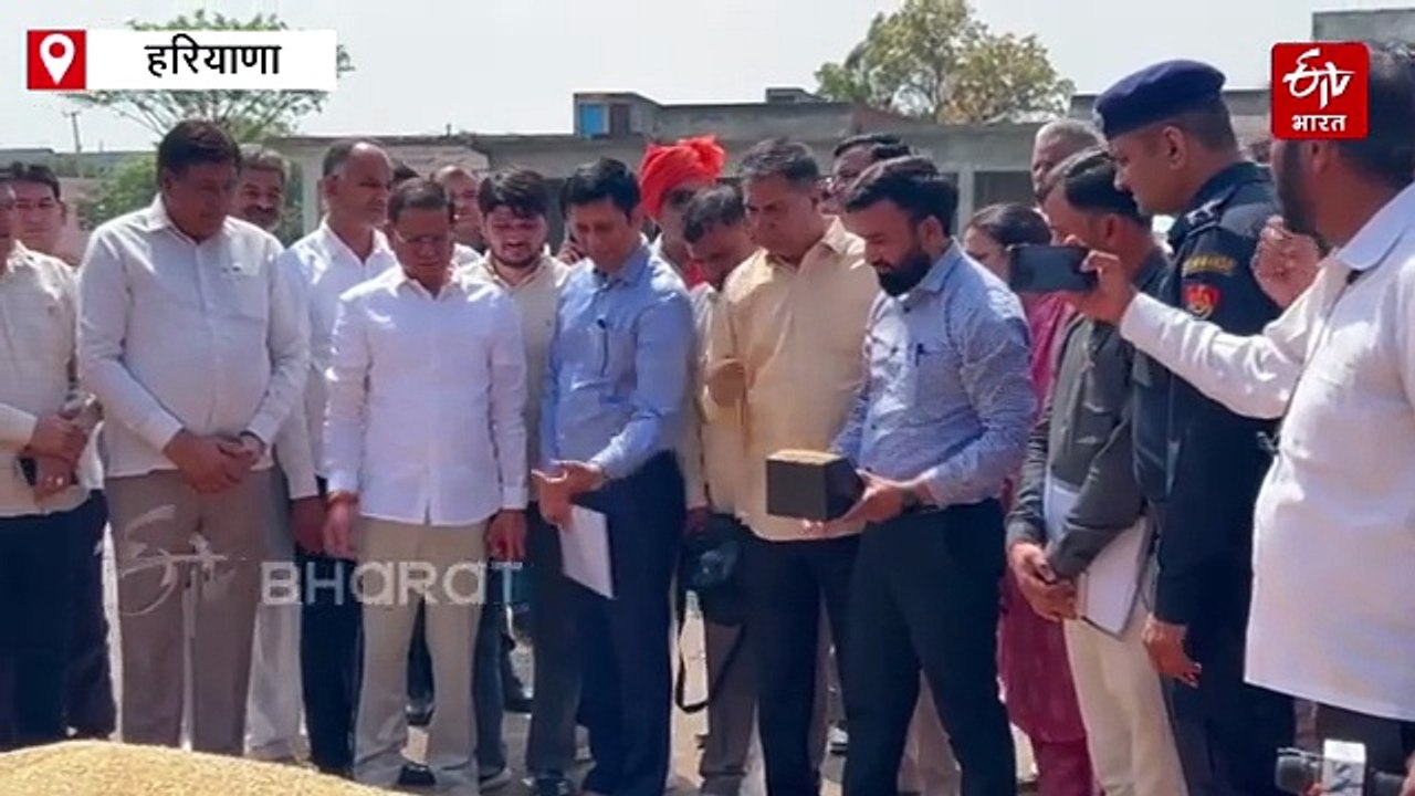 हरियाणा में आज से गेहूं की सरकारी खरीद शुरू, मंडियों में हलचल तेज, सरकार ने किए पुख्ता इंतजाम