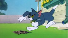 Tom And Jerry - 51 - Safety Second (1950)