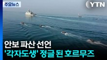 안보 파산 선언... '각자도생' 정글 된 호르무즈 / YTN