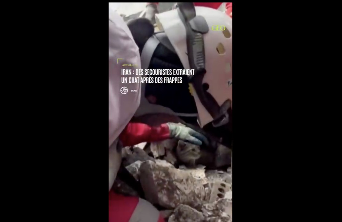 Iran : des secouristes extraient un chat enseveli sous les décombres après des frappes