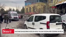 Hastane bahçesinde kesilen ağaç yoldan geçenlerin üzerine devrildi: 3 yaralı