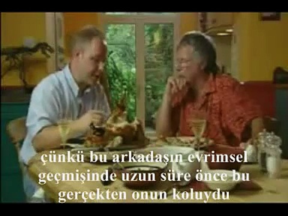 Dinazorların kuşa evrimi