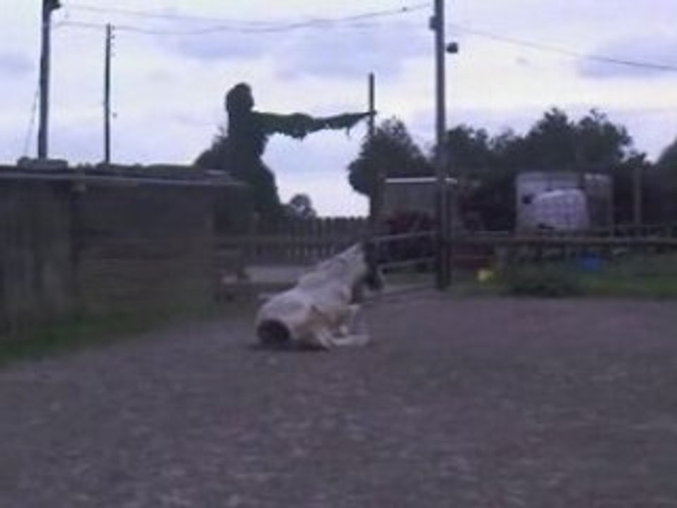 Vidéo-0001