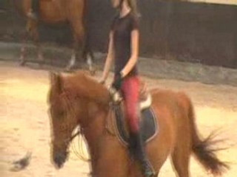 dressage avec cloé