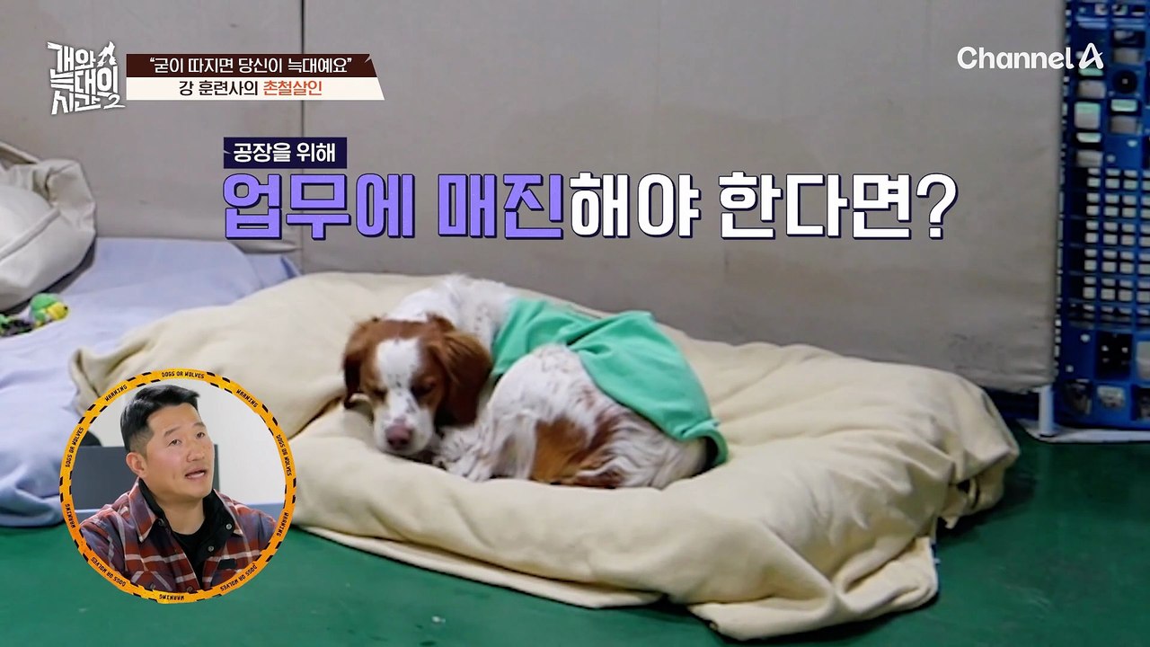 배려를 당연한 권리로 생각하던 보호자?! 정색하는 강형욱! 쓴소리를 날렸다