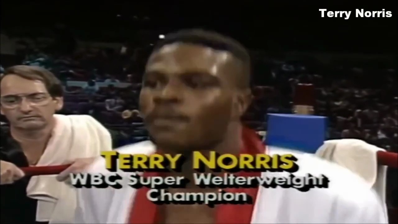 Fantasy Fight: Felix Trinidad vs Terry Norris (haNZAgod)