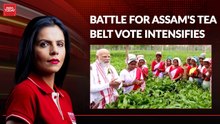BJP vs Congress: Who will win Assam's tea heartland?
