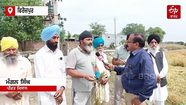 ਬੇਮੌਸਮੀ ਬਰਸਾਤ ਨਾਲ ਕਣਕ ਅਤੇ ਹਰੀਆਂ ਸਬਜ਼ੀਆਂ ਦੀ ਫਸਲ,ਕਿਸਾਨਾਂ ਨੇ ਲਈ ਮਦਦ ਦੀ ਗੁਹਾਰ