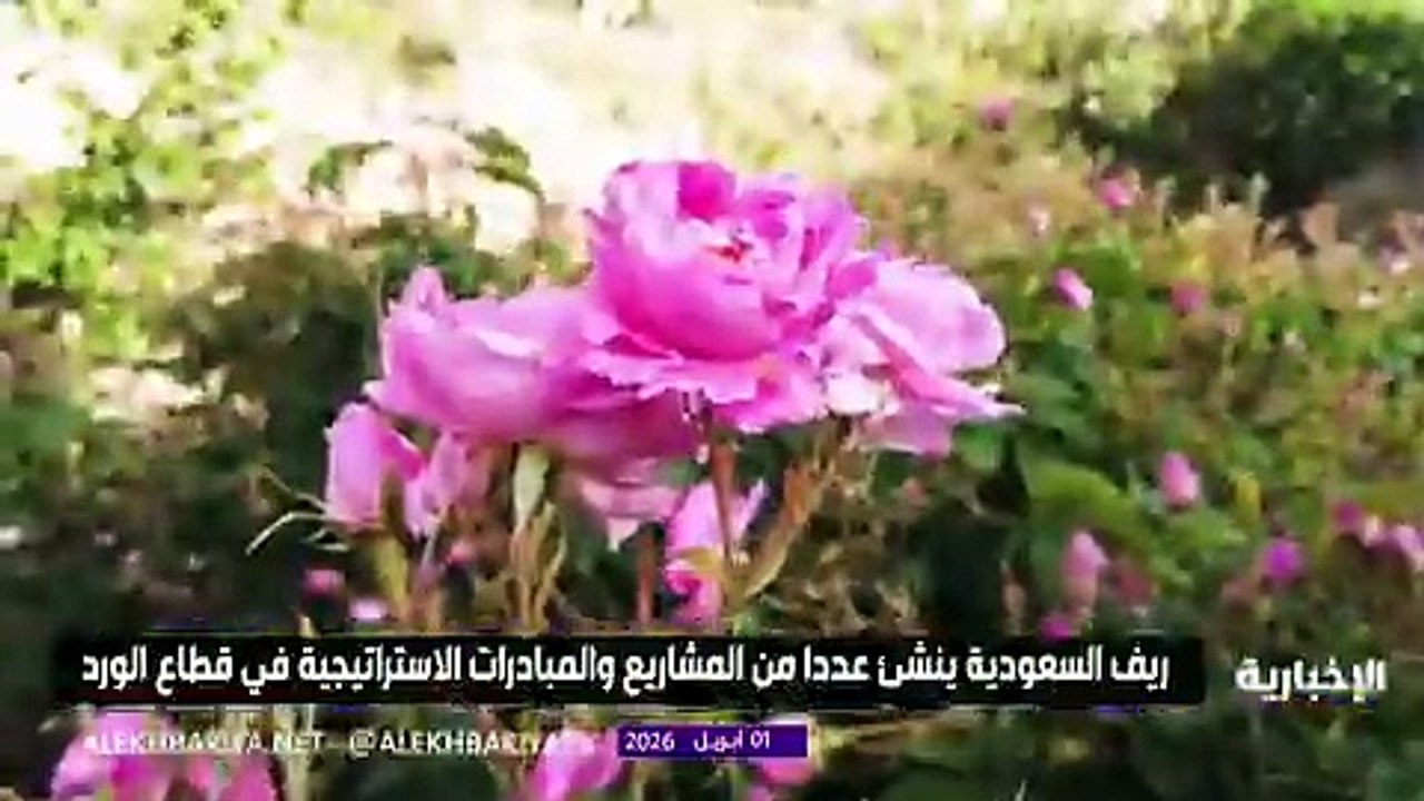 ريف السعودية يطور قطاع الورد بمشاريع استراتيجية جديدة