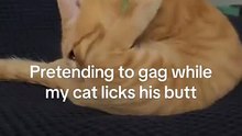 Why did it make its mouth like that? 😂#cat #cats