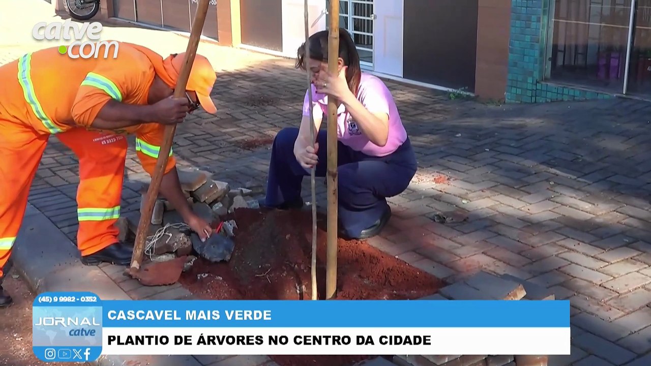 Cascavel inicia programa Cascavel Mais Verde nesta quarta-feira (1º)