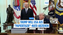 Trump erwägt Austritt der USA aus dem "Papiertiger" NATO