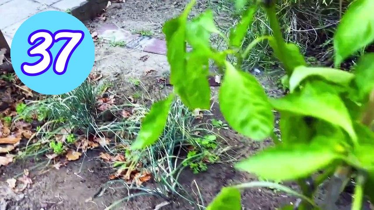 Escape To The Country S26E37 Episode 37 Engsub - BEST MOVIE 2026