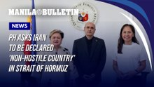 PH asks Iran to be declared 'non-hostile country' in Strait of Hormuz