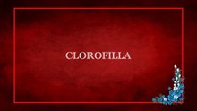 «Clorofilla/2023 HD»