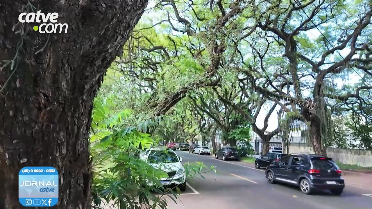 IPTU 2026 em Foz do Iguaçu: confira pagamento facilitado e isenções