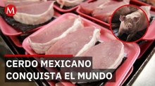 Plan México impulsa la industria porcícola; reducirán importación