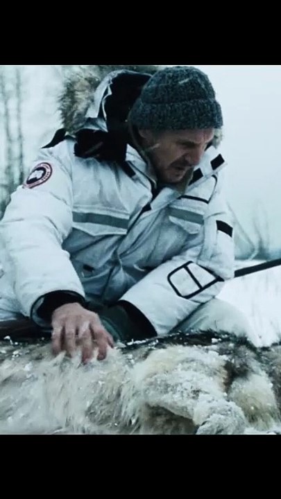 One Man vs The Alpha Wolf 🐺❄️ #epiclens #film #movierecap #movie #endingexplained  #survivalmovie