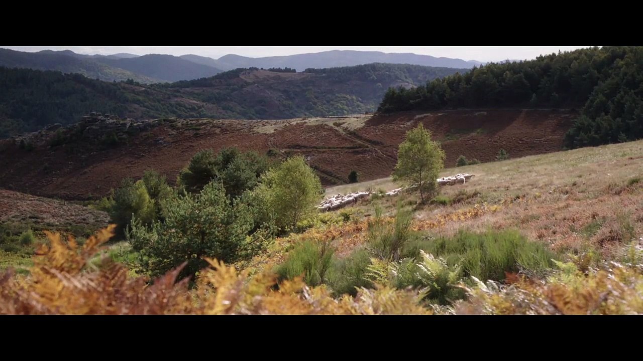 Sauvage (2025) - Bande annonce