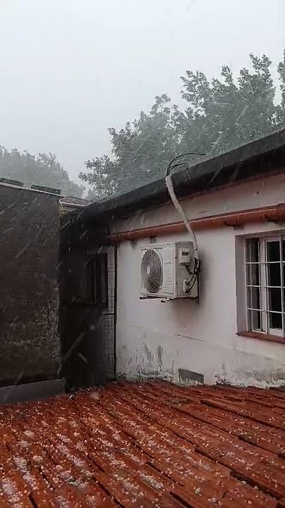 whatsapp video 2026-04-01 at 4.49.27 pm.mp4