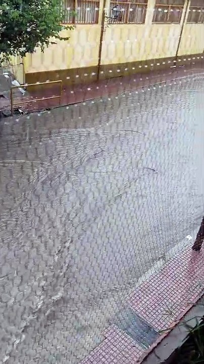 whatsapp video 2026-04-01 at 4.57.57 pm.mp4