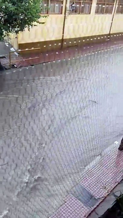 whatsapp video 2026-04-01 at 4.57.57 pm.mp4