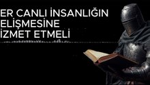Sokak Hayvanları İle Alakalı En Doğru Düşünce (Felsefi Bakış)