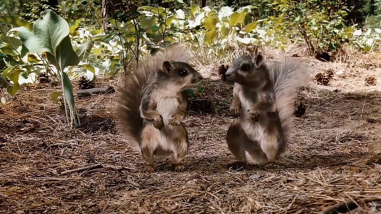 Un Chien Milliardaire🐶✨FILM COMPLET en Français🎈Comédie, Famille, Chien