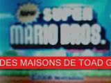 NEW SUPER MARIO BROS - AVOIR DES MAISONS DE TOAD