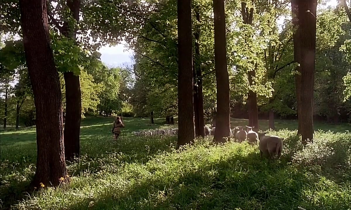 El Rey Polar 1991 Español Latino - The Polar Bear King - Kvitebjørn Kong Valemon