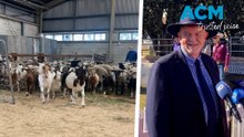 2026 Royal Easter Show kicks off despite fuel shortages