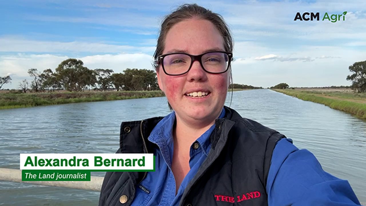 Food security front of mind at Barham water forum