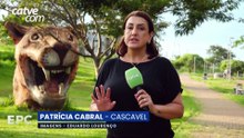 Cascavel vai gastar R$ 45 mil para fazer a manutenção das esculturas do Ecopark Oeste