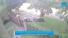 En Gonnet, los perros de una casa frustraron una entradera de cuatro ladrones