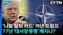 [자막뉴스] 유럽, 참전 요청에 줄줄이 외면...결국 '나토 탈퇴 카드' 꺼낸 트럼프 / YTN