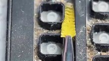 Deep cleaning of a dirty wired keyboard!🧽⌨️