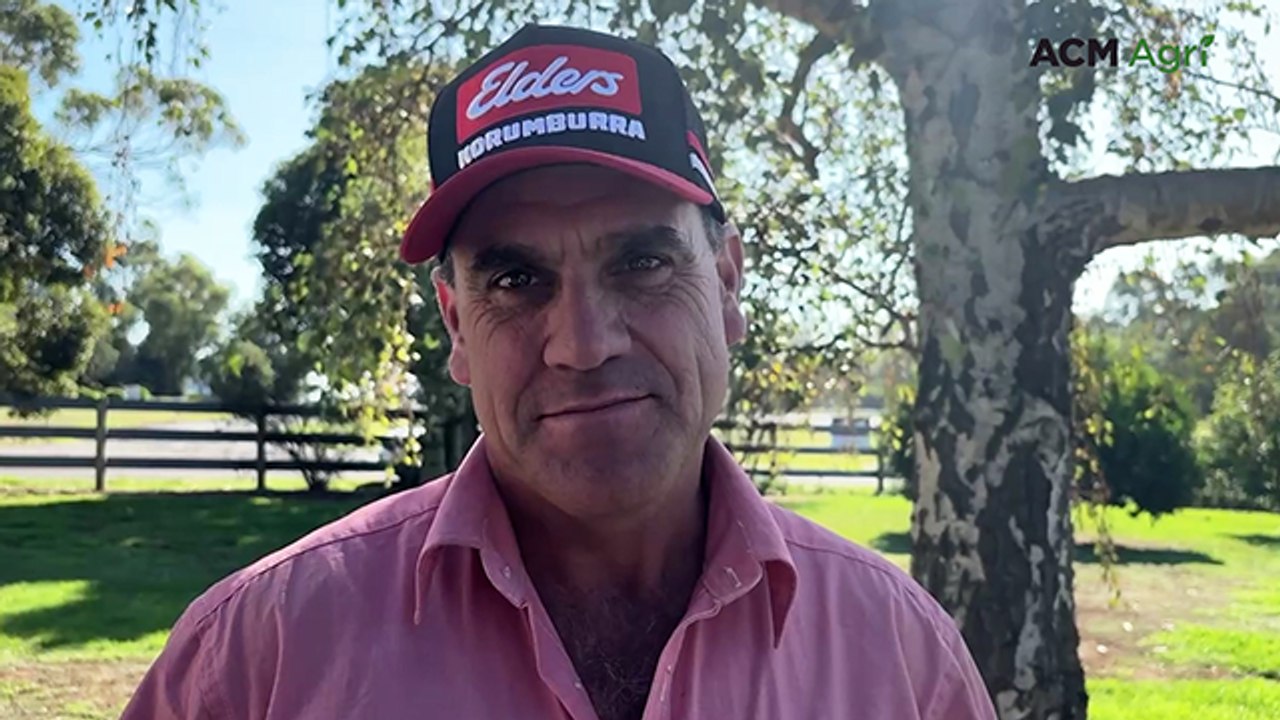 Leongatha store cattle sale - April 2, 2026
