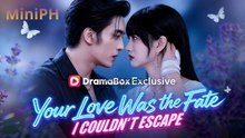 🔥HOT🔥Your Love Was The Fate I Couldn't Escape - Full Movie