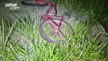 Ciclista fica em estado grave após acidente com moto e carro na PR-239, em Toledo