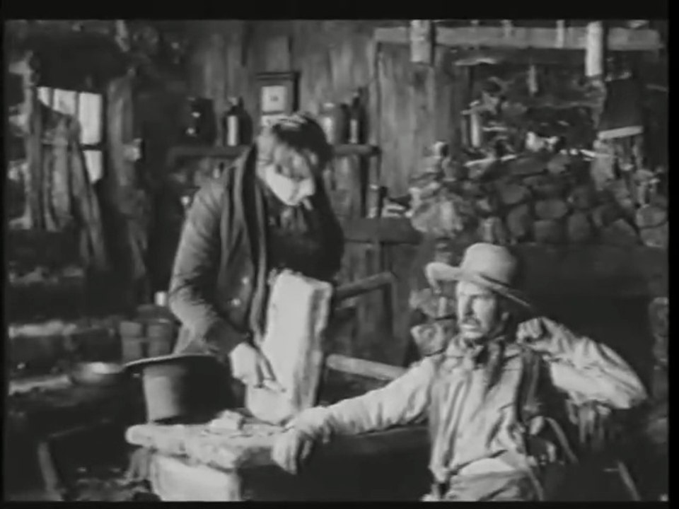 Romance of the Redwoods – Love in the Wild Forest