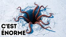 Les paléontologues découvrent un monstre vivant dans la glace antarctique HOT