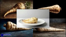 Single Raw Parsnip Minimalist Food Image #artcompareblog