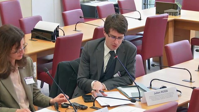 Vulnérabilités systémiques dans le secteur du numérique : Protection des données personnelles ; Directeurs des systèmes d’information d’organismes de recherche - Mercredi 1 avril 2026