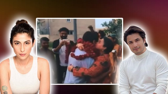 Pakistani Actor Ali Zafar Wins Case Against Meesha Shafi, क्या था पूरा मामला...|
